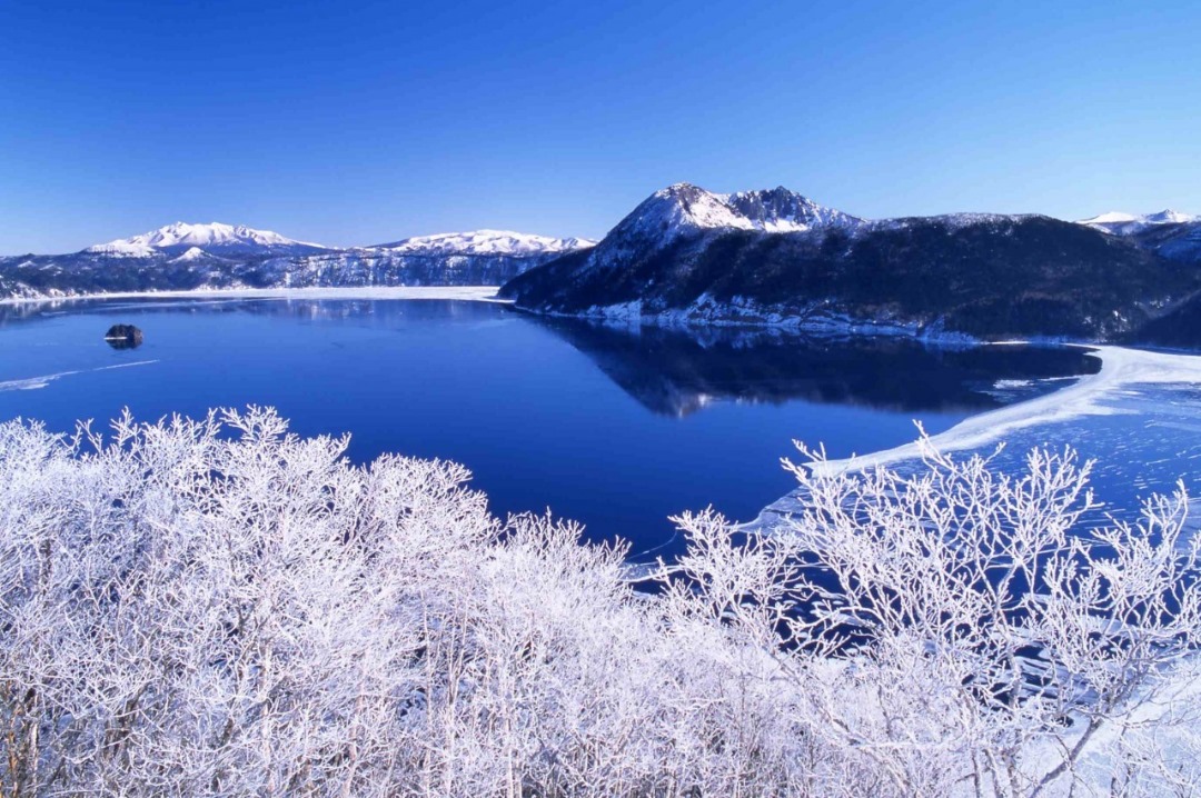 292ac946-7e4e-4ba7-9207-9af522931bf3