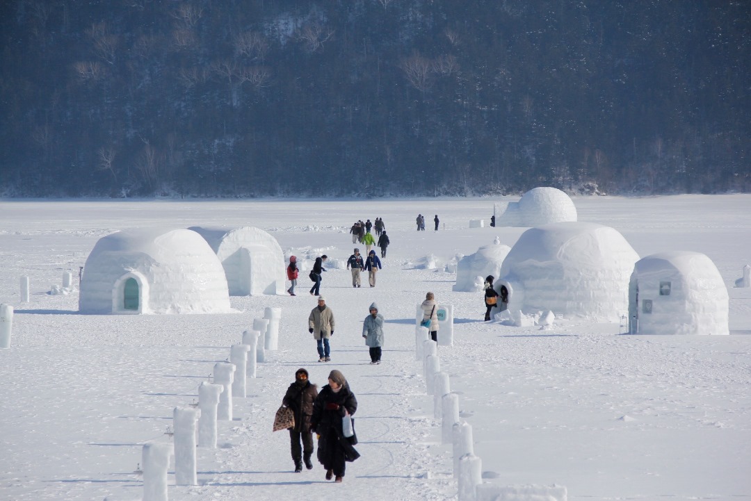 98e77d2a-f542-4e18-9916-3ce1b22b3a85